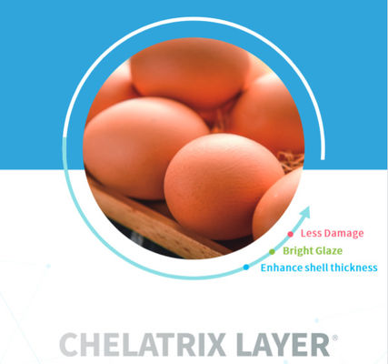 Chelota Chelatrix Layer C1232 Powder Form For Feed Additives High Broken Egg Rate