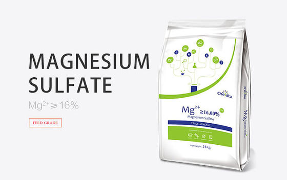 Colorless Crystal Magnesium Sulfate Powder MgSo4 H2O White Powder