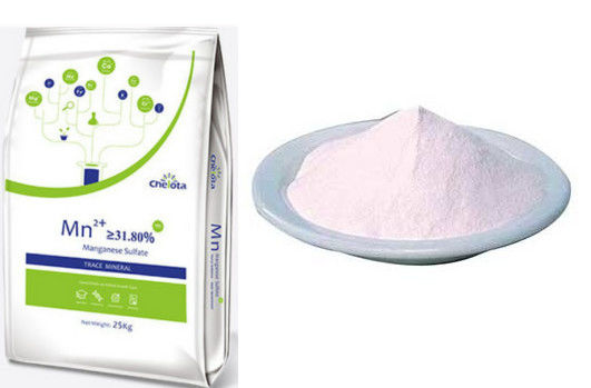 Feed Addictive Sulfate Salts Pink Powder GMP Manganese Sulphate Powder