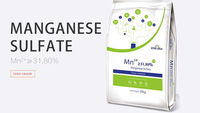 Manganese Sulfate Powder For Feed Additives MnSo4 H2O