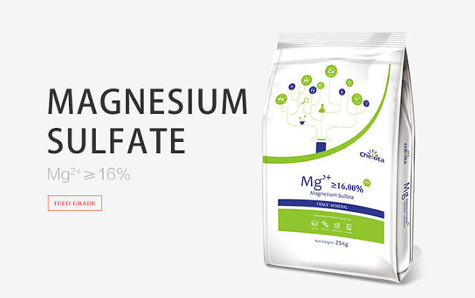Colorless Crystal Magnesium Sulfate Powder MgSo4 H2O White Powder