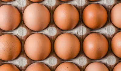 Strongest Egg Chelota Chelatrix Layer C5232k Granular Form For Feed Additives